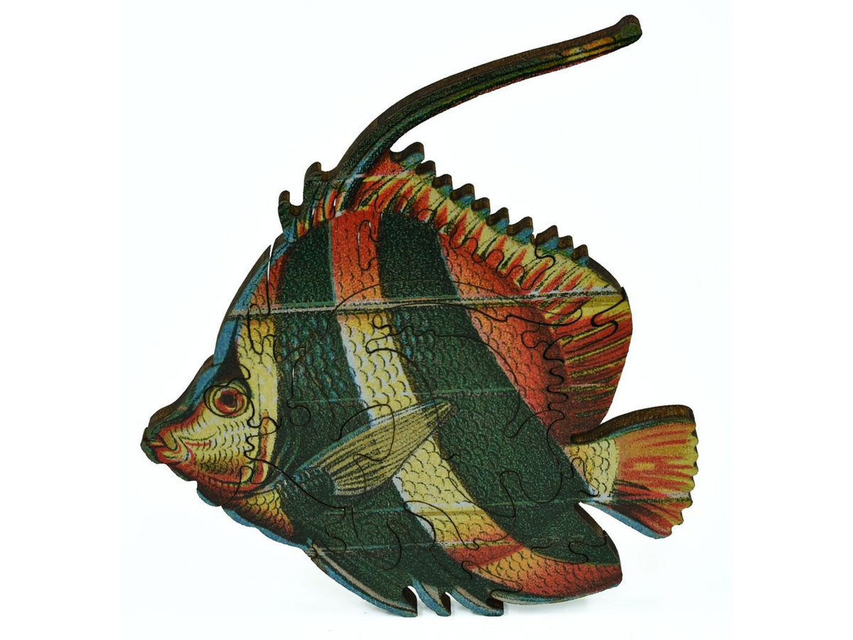 A closeup of pieces showing a large multi-piece angel fish.