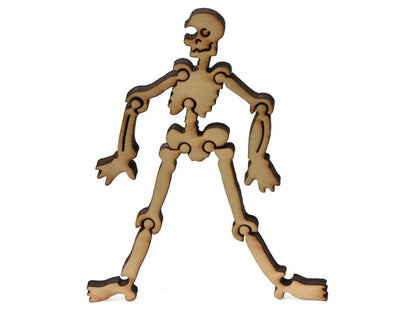 A closeup of pieces that make up a large skeleton.