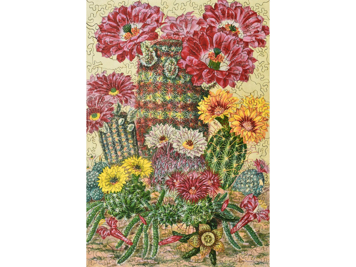 The front of the puzzle, Cactus Flowers.