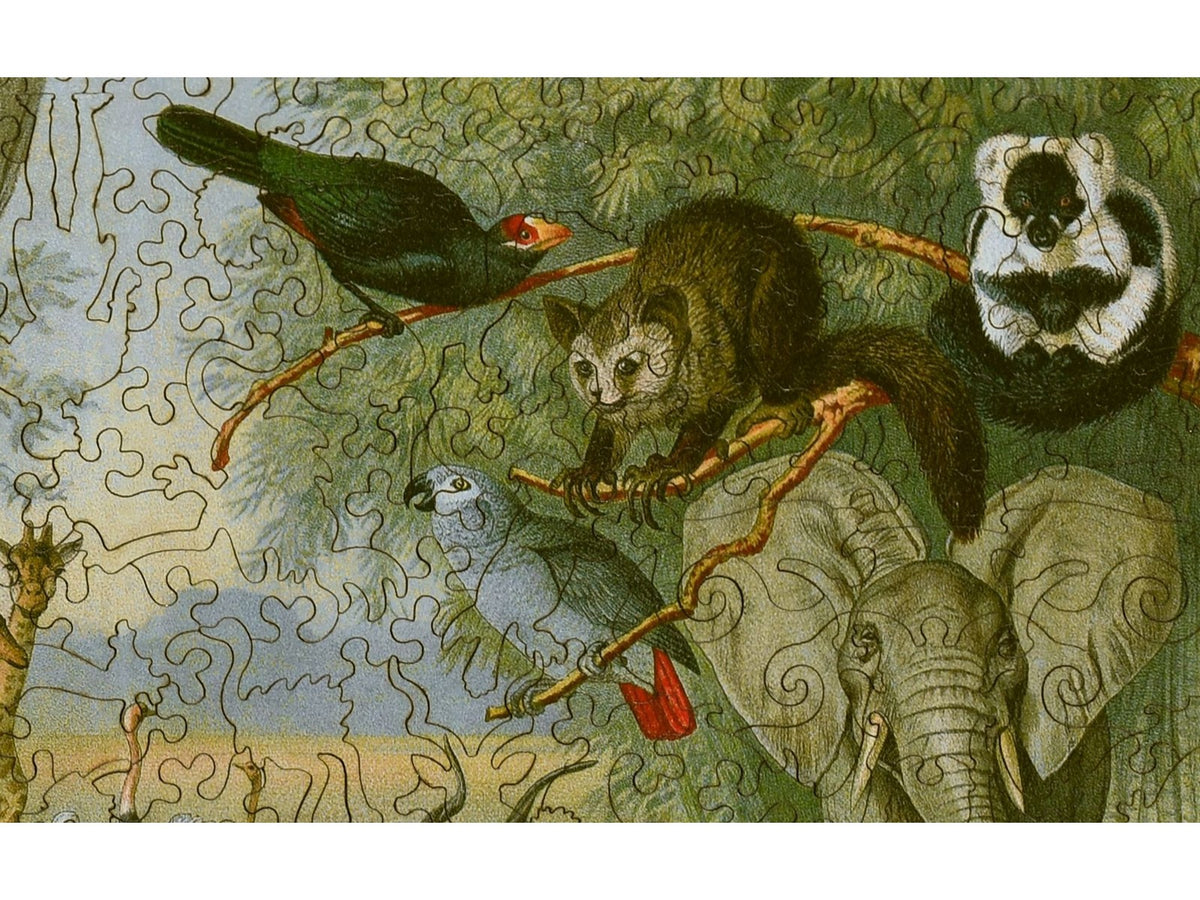 A closeup of the front of the puzzle, Ethiopian Fauna, showing the detail in the pieces.