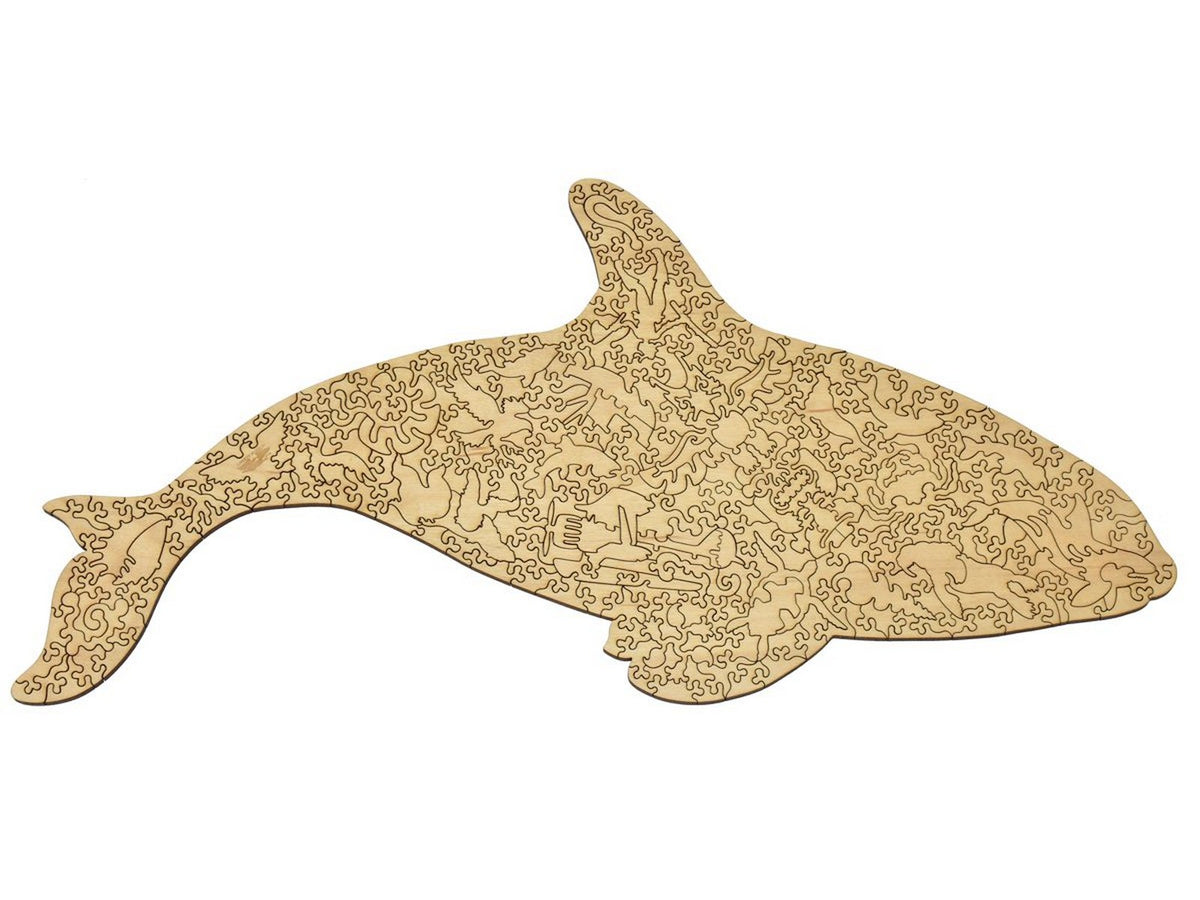 The back of the puzzle, Orca.