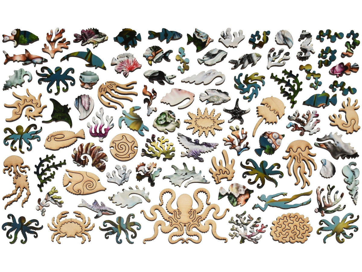 The whimsy pieces that can be found in the puzzle, Sea Change Project.