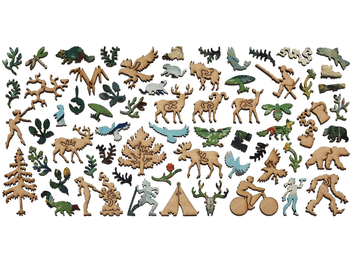 The whimsy pieces that can be found in the puzzle, Tent Camping.