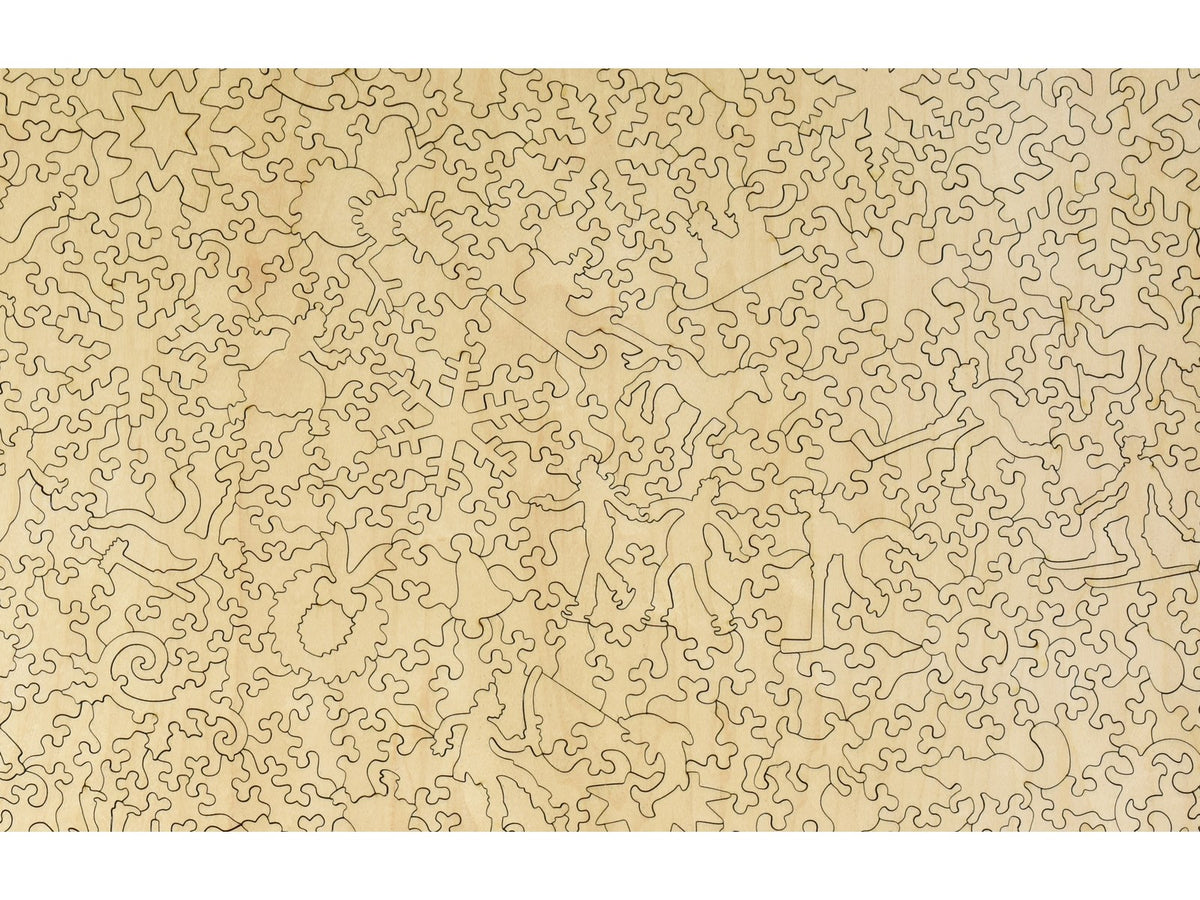 A closeup of the back of the puzzle, Central Park, Winter.