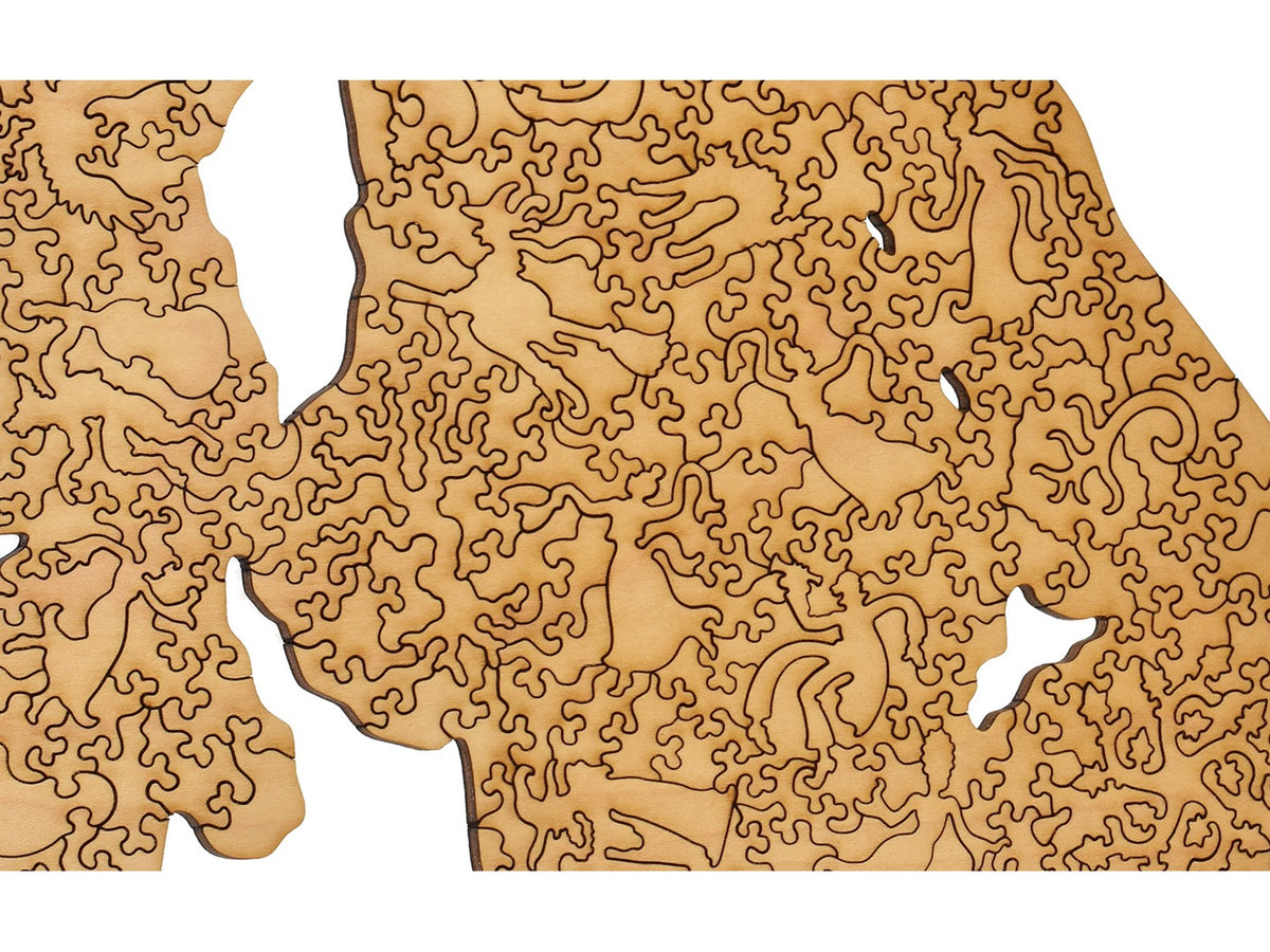 A closeup of the back of the puzzle, Frankenstein.