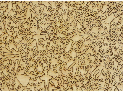 A closeup of the back of the puzzle, Green Dancer.