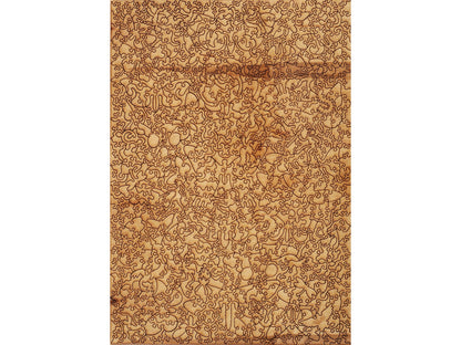 The back of the puzzle, Histoire Naturelle.
