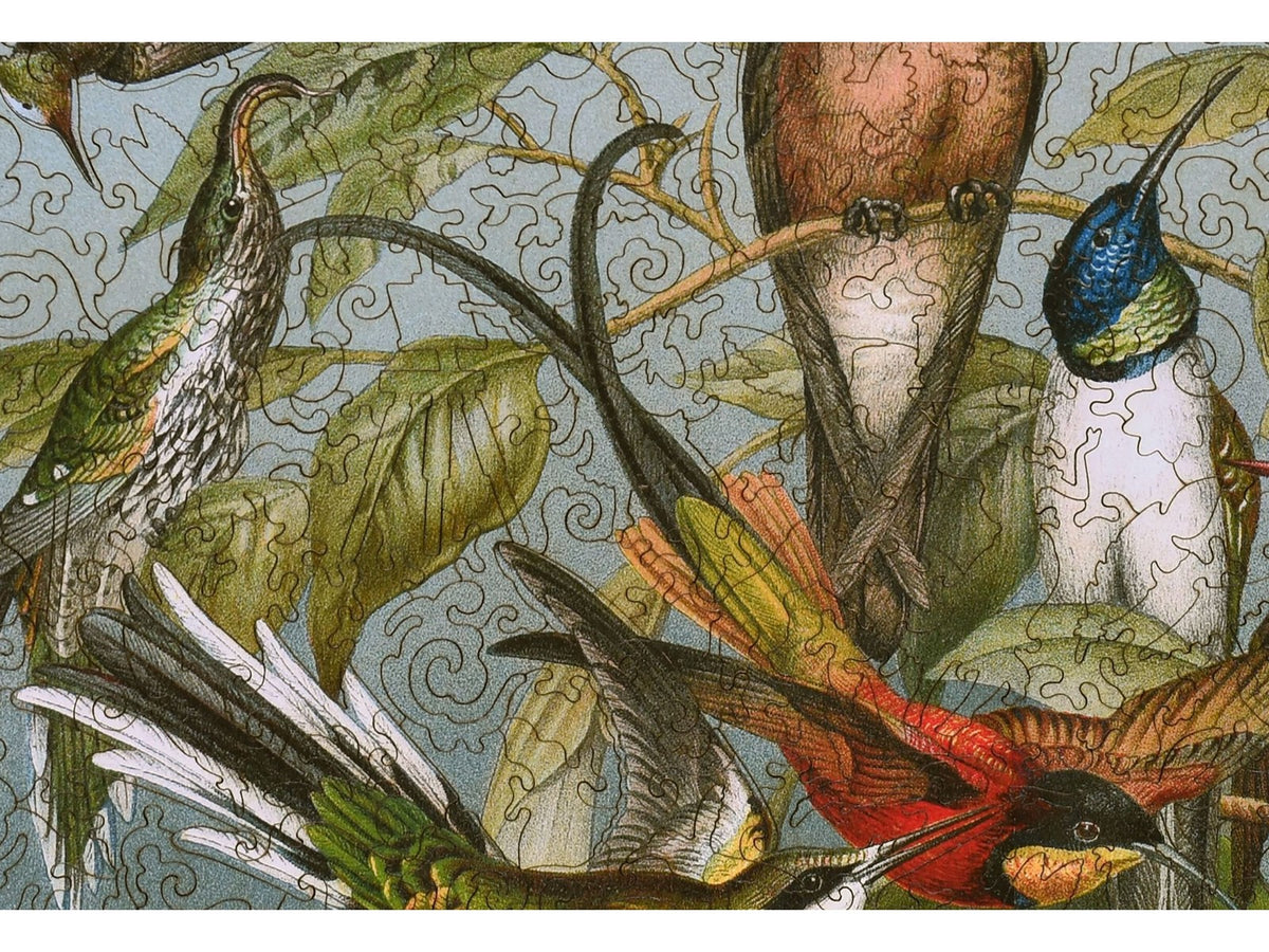A closeup of the front of the puzzle, Kolibris, showing the detail in the pieces.