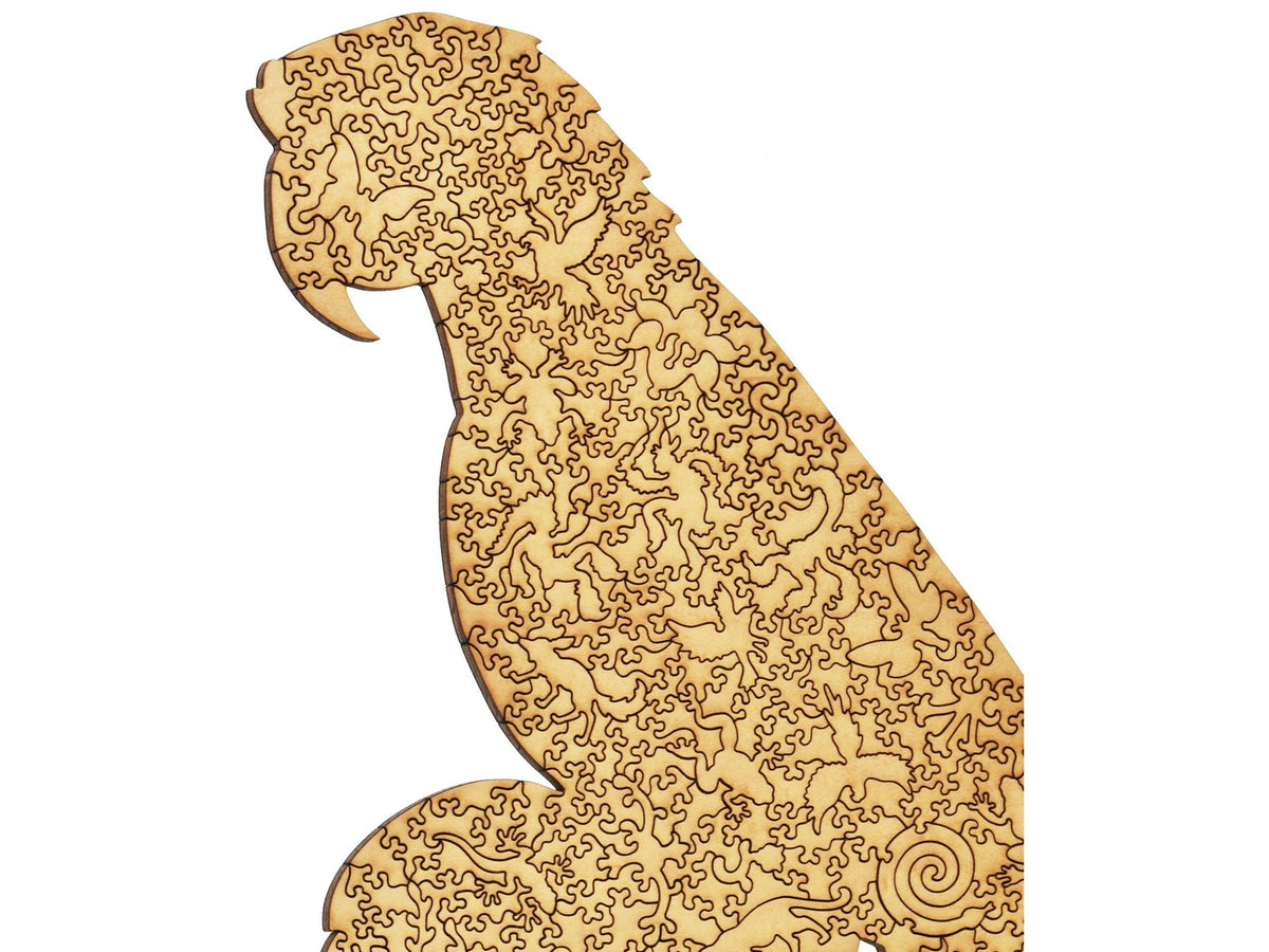 A closeup of the back of the puzzle, Macaw.