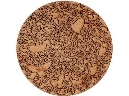 The back of the puzzle, Tannenwald. 