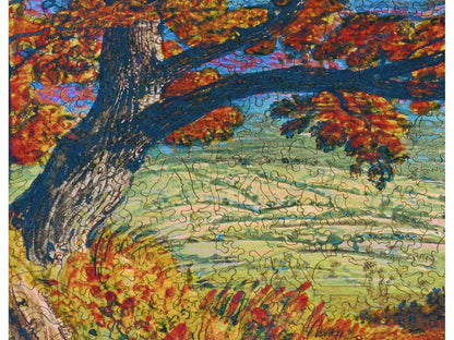 A closeup of the front of the puzzle, The Weald of Kent, showing the detail in the pieces.