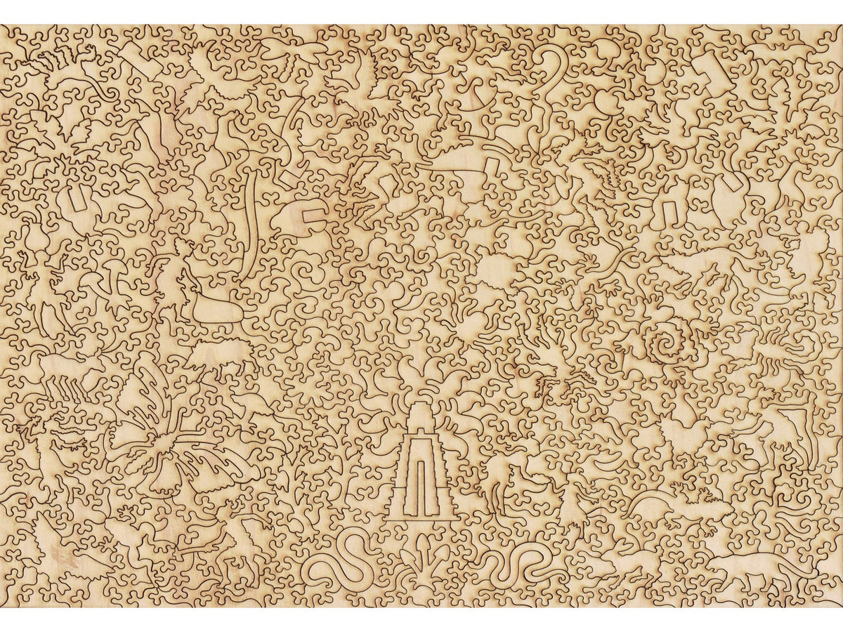 The back of the puzzle, Yanapuma.